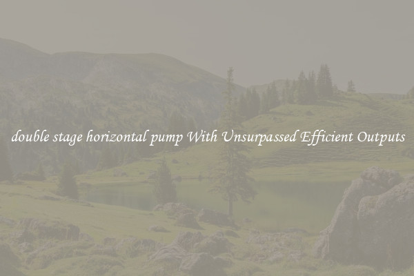 double stage horizontal pump With Unsurpassed Efficient Outputs