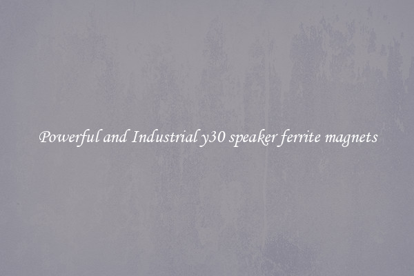 Powerful and Industrial y30 speaker ferrite magnets