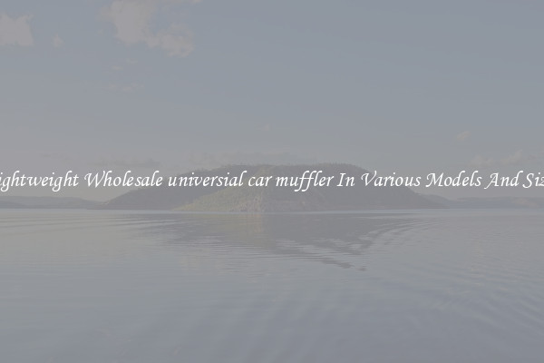 Lightweight Wholesale universial car muffler In Various Models And Sizes