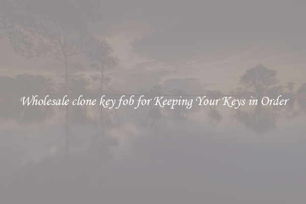 Wholesale clone key fob for Keeping Your Keys in Order