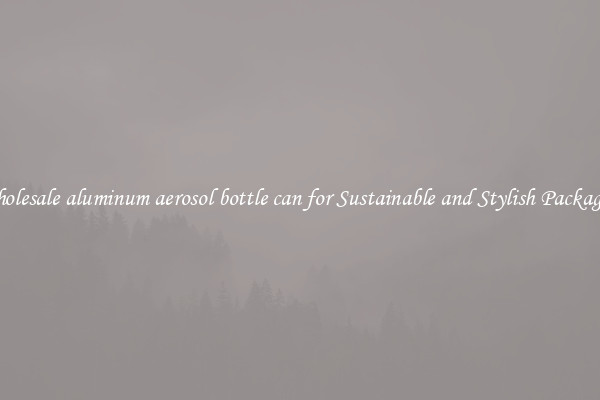 Wholesale aluminum aerosol bottle can for Sustainable and Stylish Packaging