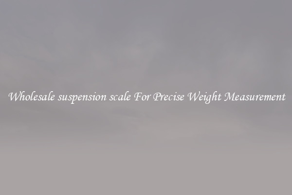 Wholesale suspension scale For Precise Weight Measurement