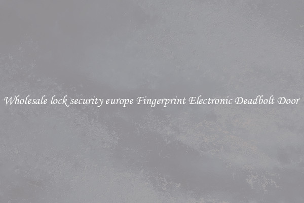 Wholesale lock security europe Fingerprint Electronic Deadbolt Door 