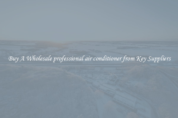 Buy A Wholesale professional air conditioner from Key Suppliers