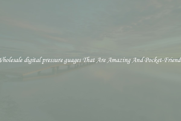Wholesale digital pressure guages That Are Amazing And Pocket-Friendly