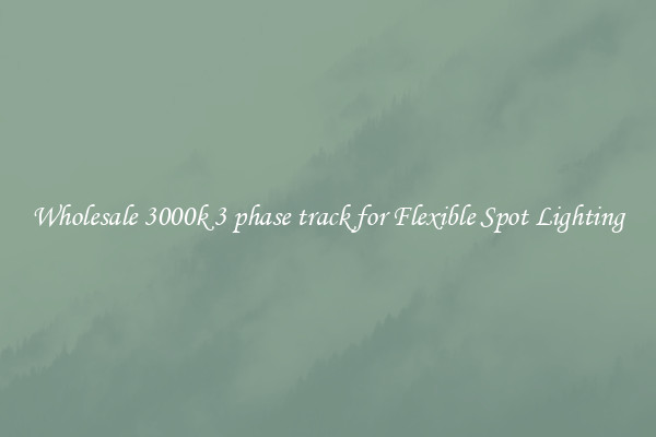 Wholesale 3000k 3 phase track for Flexible Spot Lighting