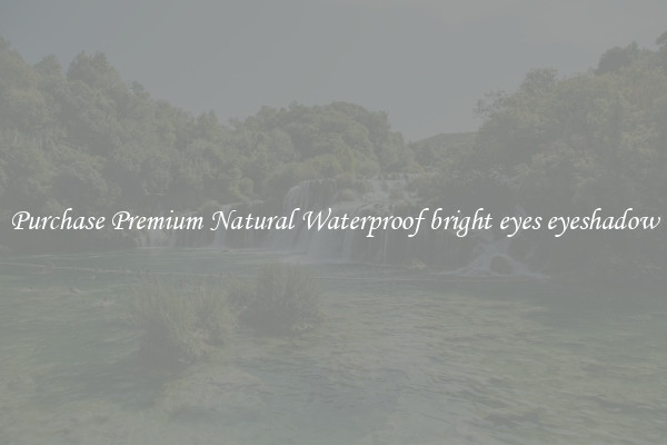 Purchase Premium Natural Waterproof bright eyes eyeshadow