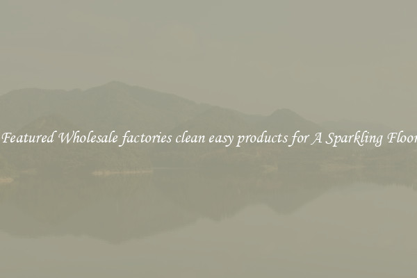 Featured Wholesale factories clean easy products for A Sparkling Floor
