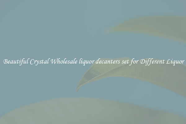 Beautiful Crystal Wholesale liquor decanters set for Different Liquor