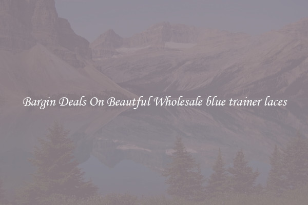 Bargin Deals On Beautful Wholesale blue trainer laces