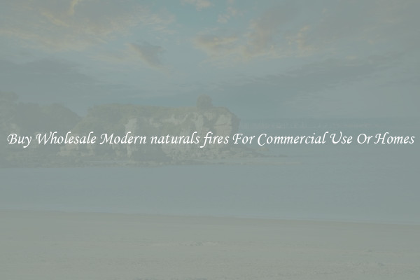 Buy Wholesale Modern naturals fires For Commercial Use Or Homes