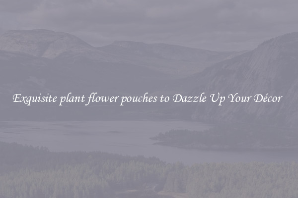 Exquisite plant flower pouches to Dazzle Up Your Décor  