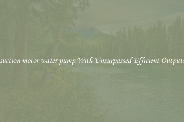 suction motor water pump With Unsurpassed Efficient Outputs