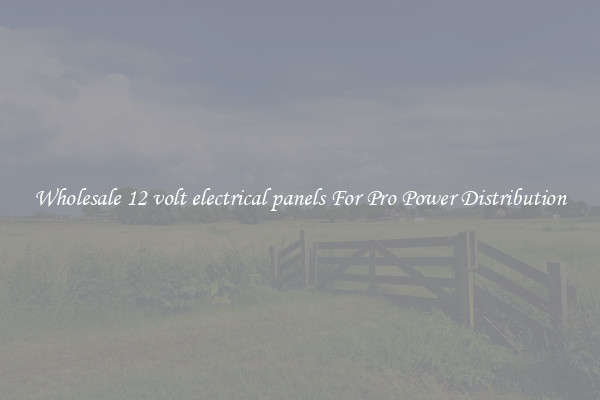 Wholesale 12 volt electrical panels For Pro Power Distribution