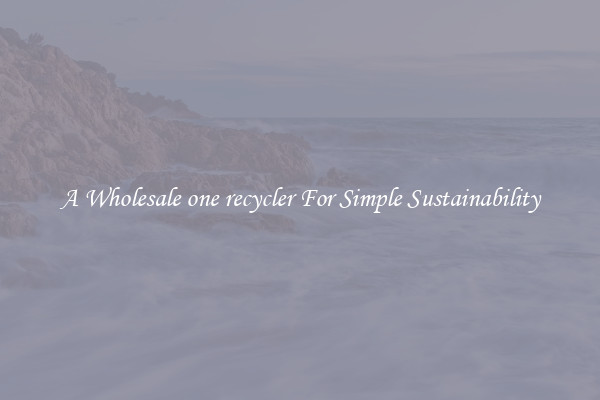  A Wholesale one recycler For Simple Sustainability 
