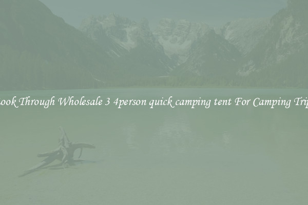 Look Through Wholesale 3 4person quick camping tent For Camping Trips